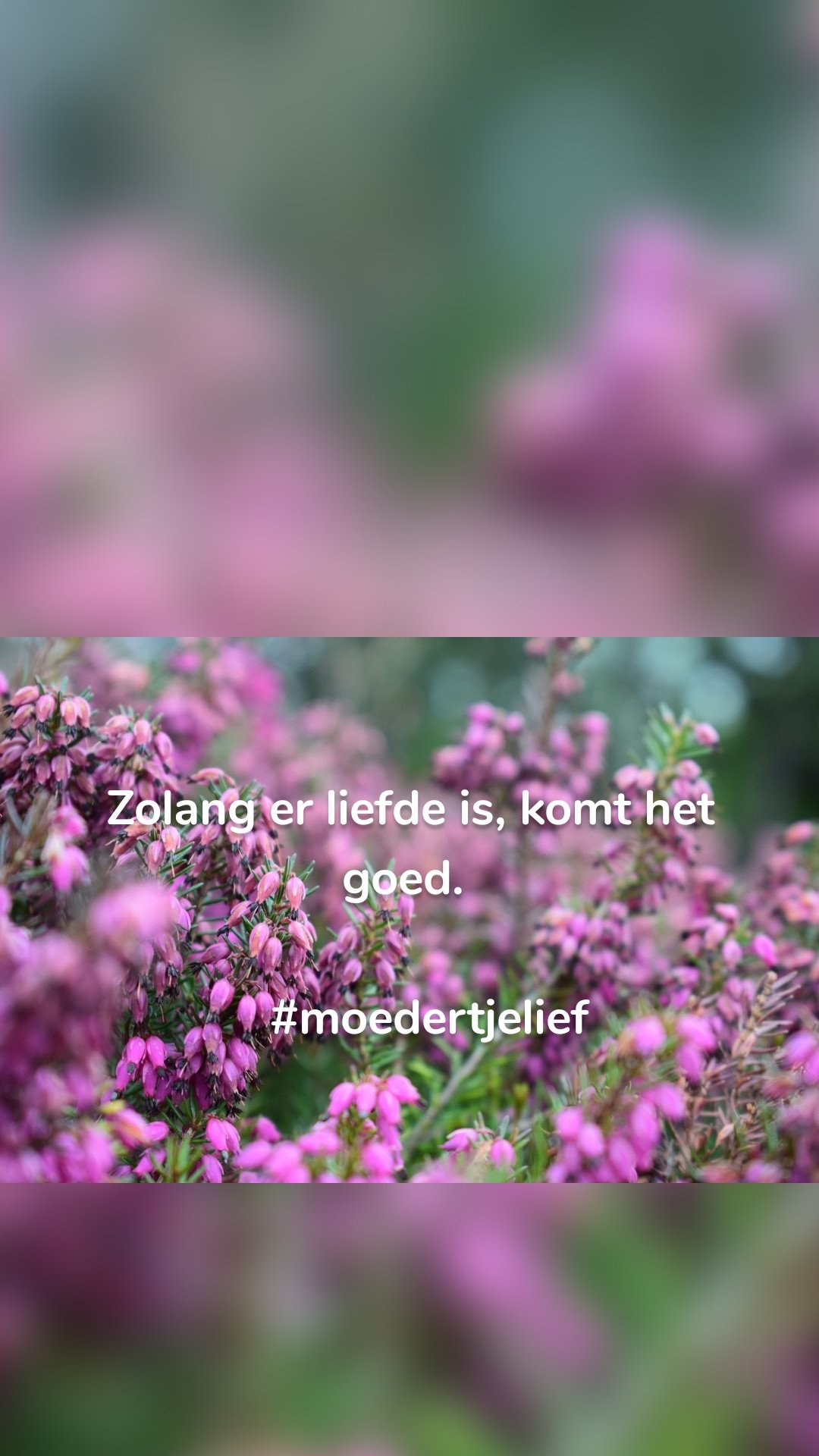 Zolang er liefde is, komt het goed. 

   #moedertjelief